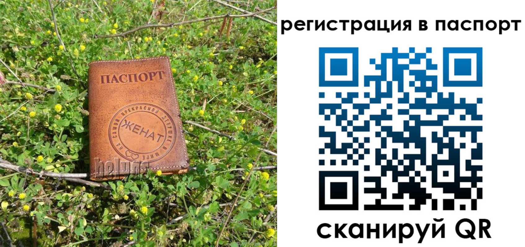 прописка законно в Тайшете
